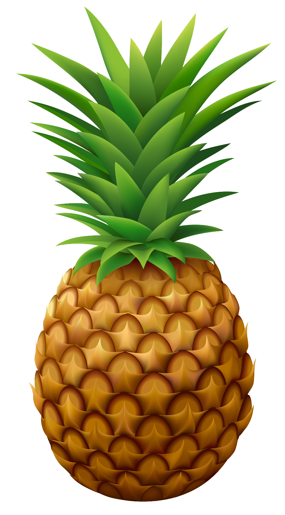 Pineapple vector