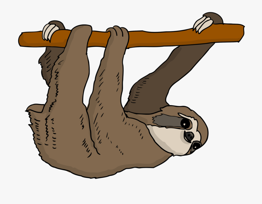 Sloth