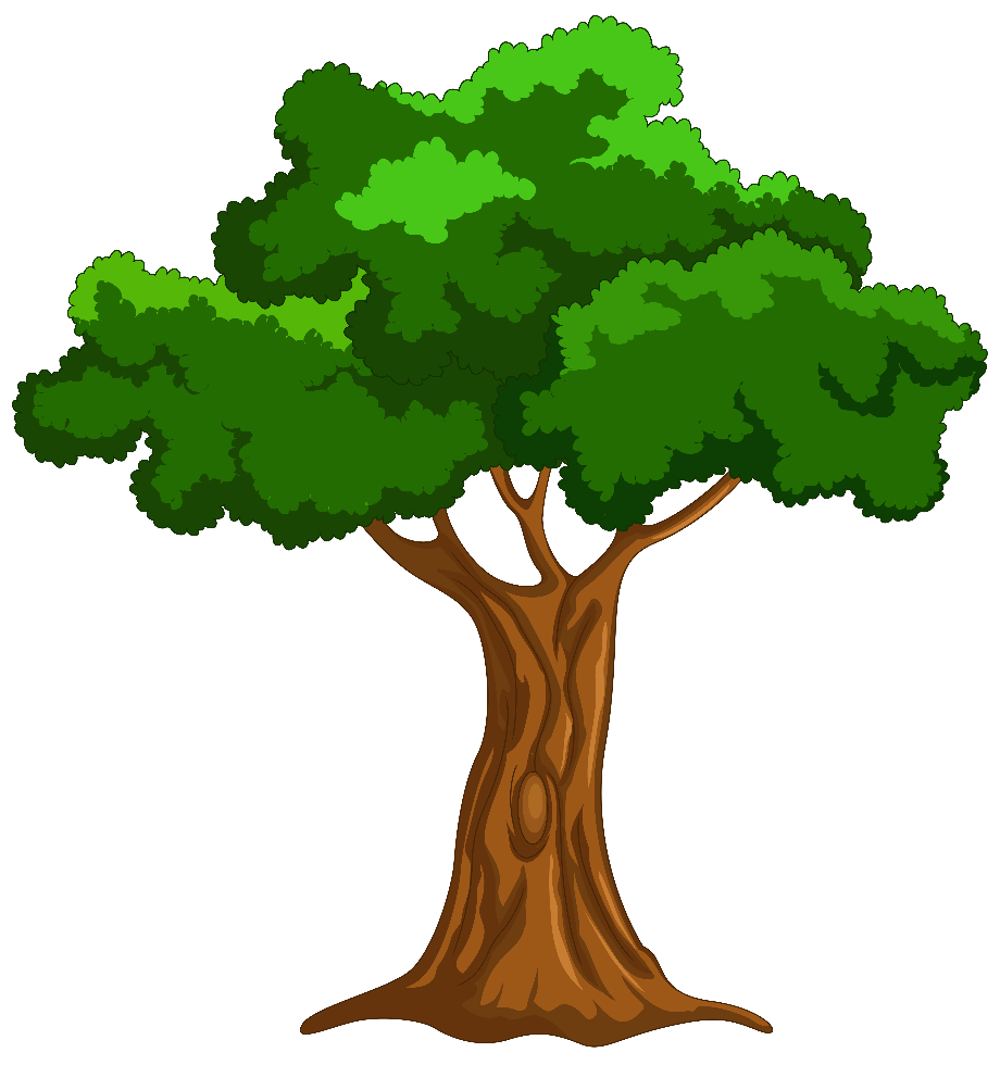 Tree transparent cartoon