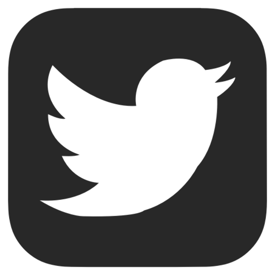 White twitter logo gray