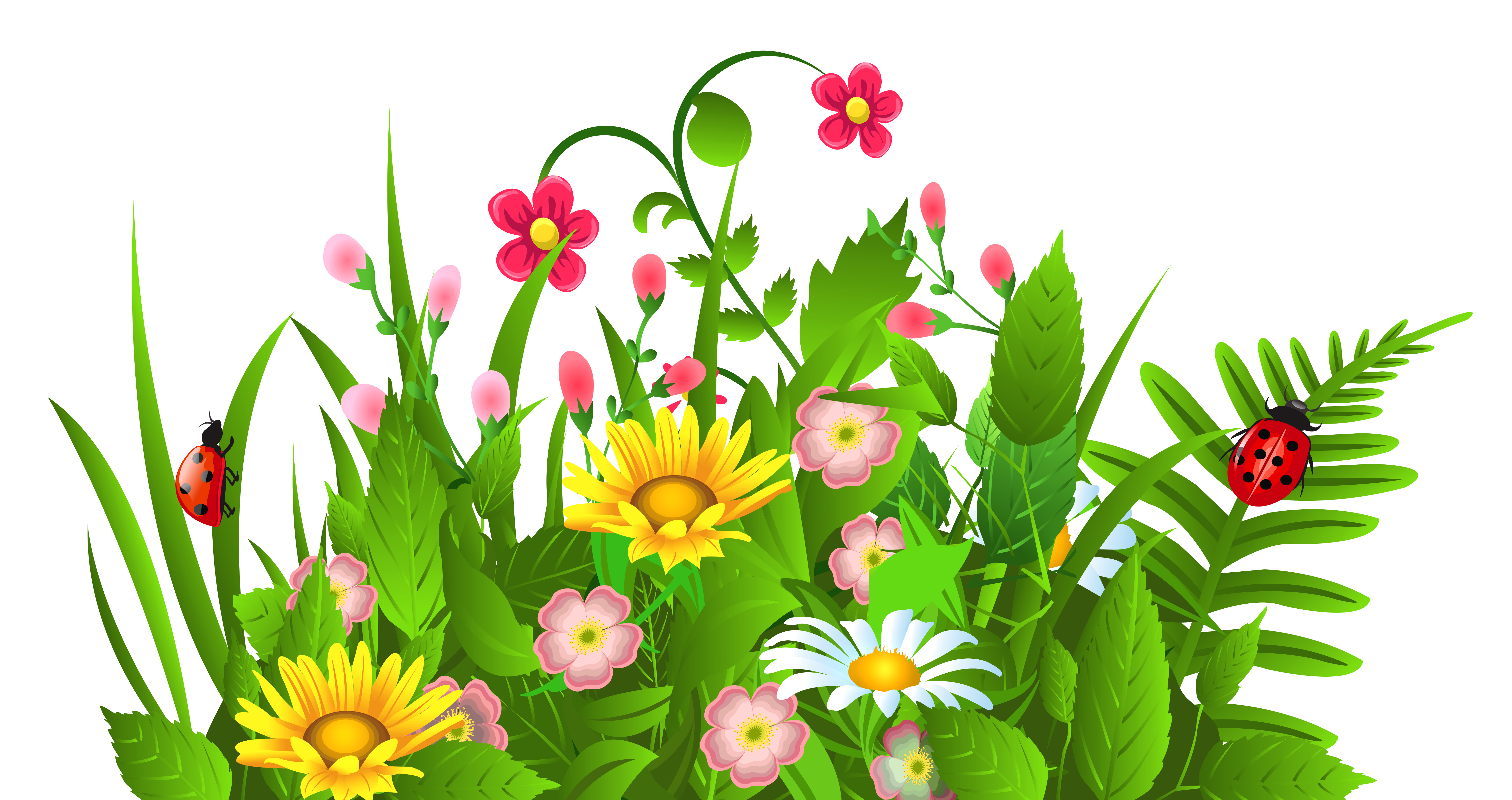 Flowers clip art free clipart images clipartwiz 2