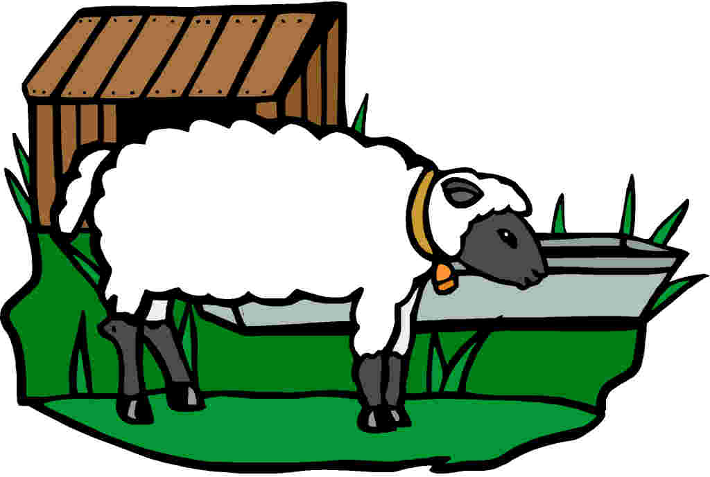 Free clip art sheep face