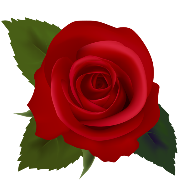 Clip Art Rose Flowers