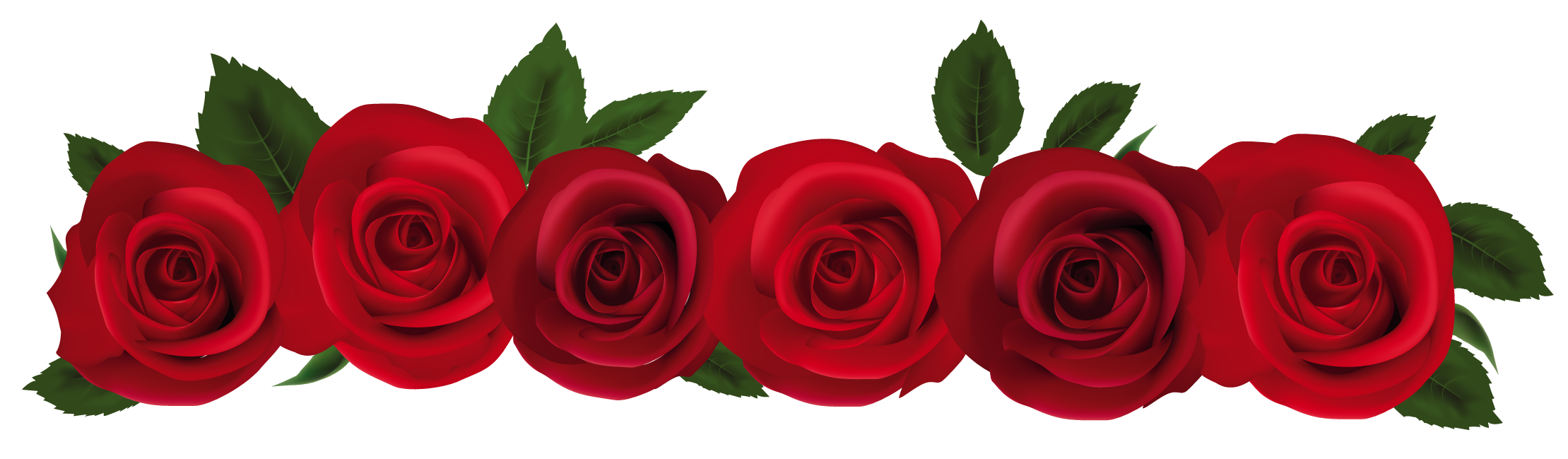 Clip Art Rose Flowers