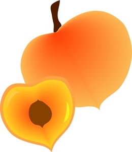 Clipart peach coloured image