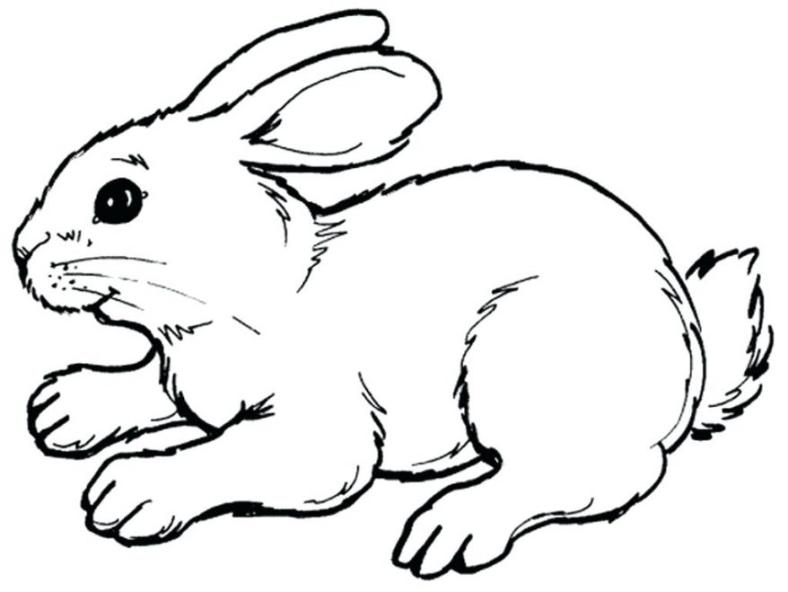 bunny outline Moving bunny clip art animated rabbit pictures and marvelous jpg