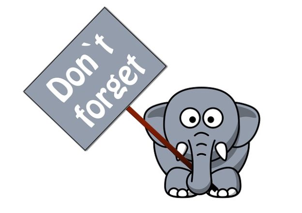 Elephant remember clipart clipartxtras jpeg