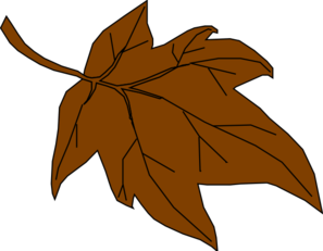 Brown fall leaves clipart jpg