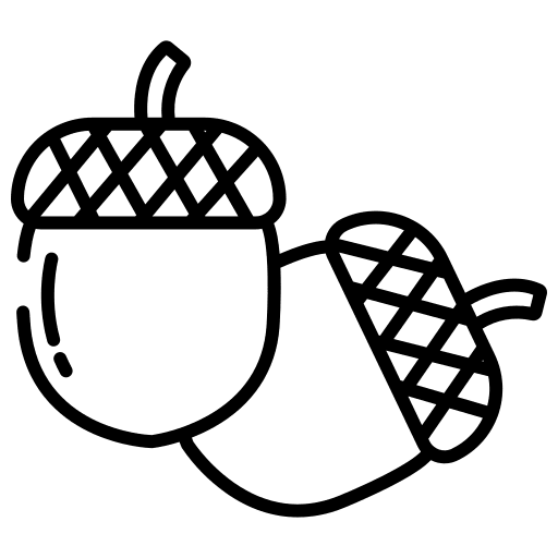 Acorn food and restaurant clipart photo