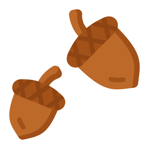 Acorn generic flat clipart vector