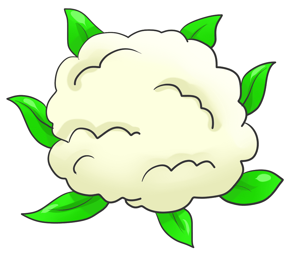 Cauliflower Clipart