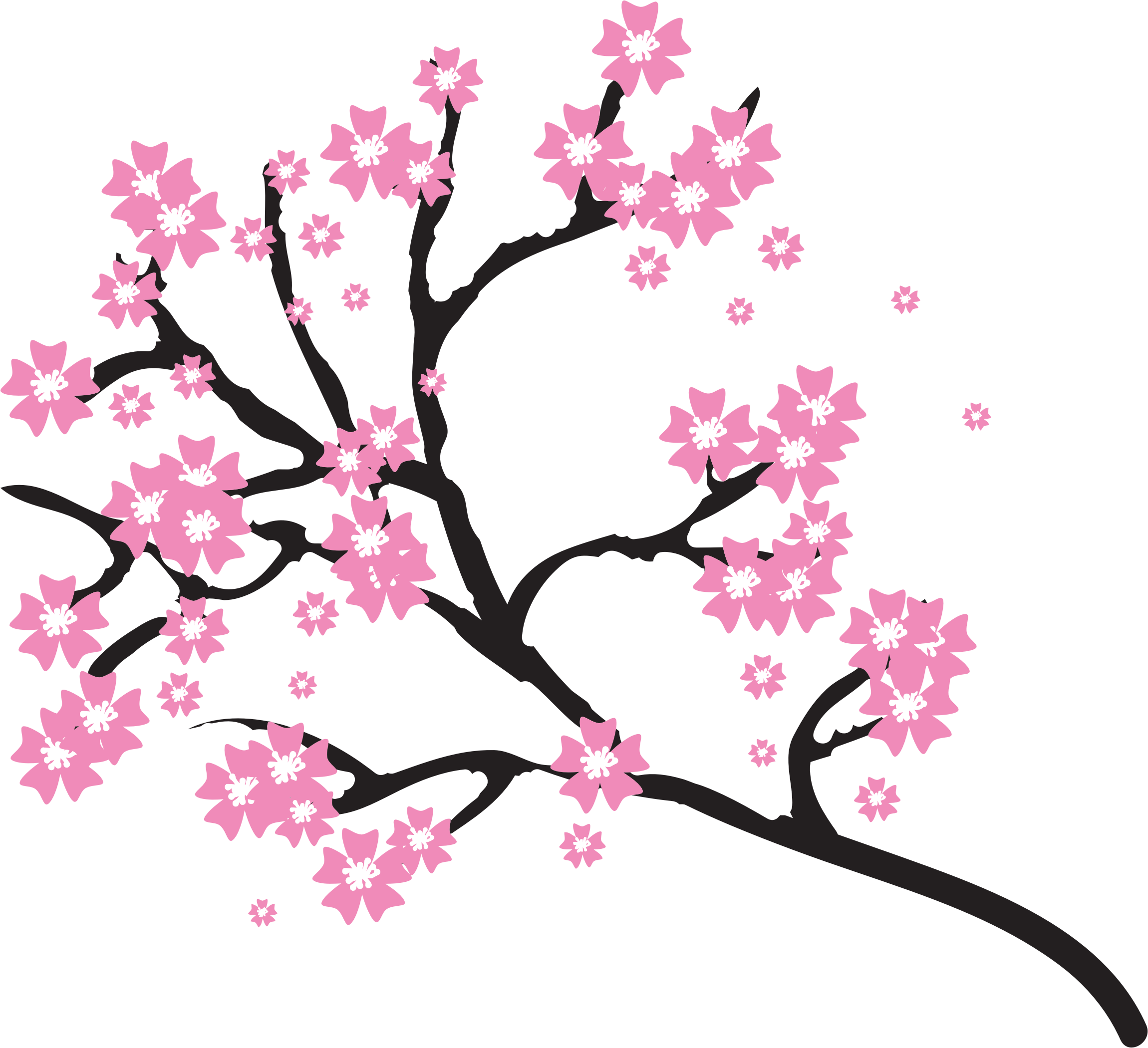 Sakura Tree Drawing Png Tree Drawing Cherry Blossom D - vrogue.co