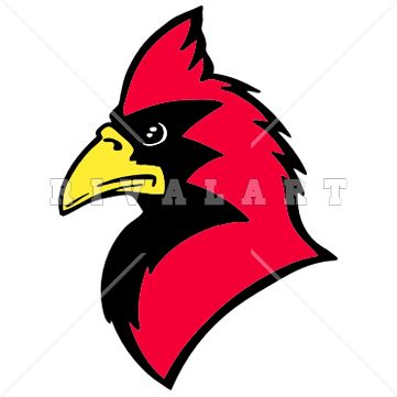 Bird Head Clipart