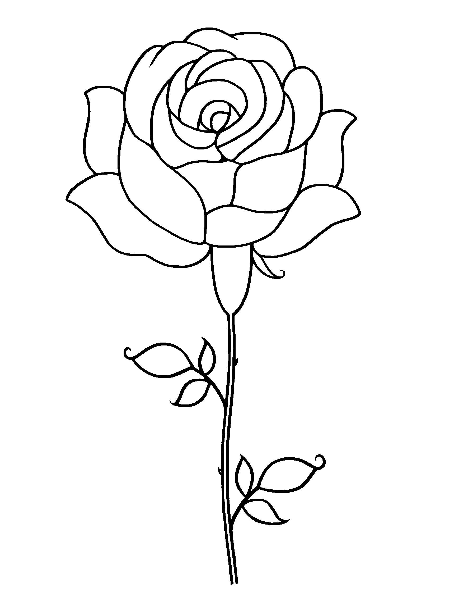 Rose Outline Clipart