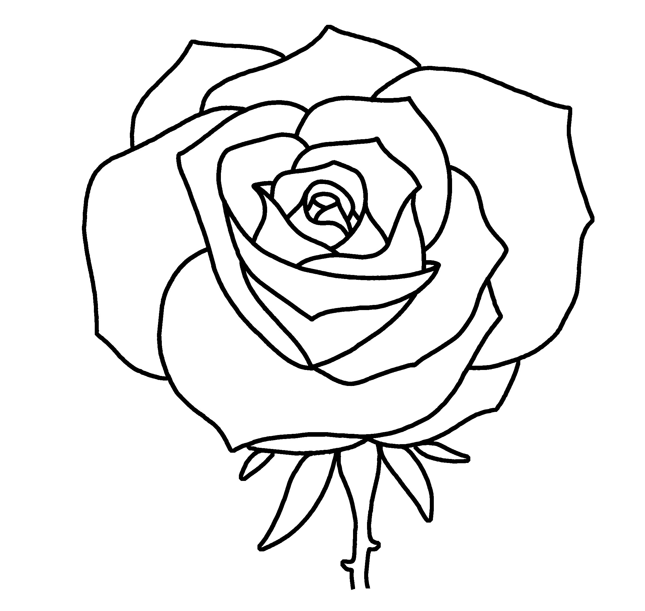 Rose outline drawing for colouring