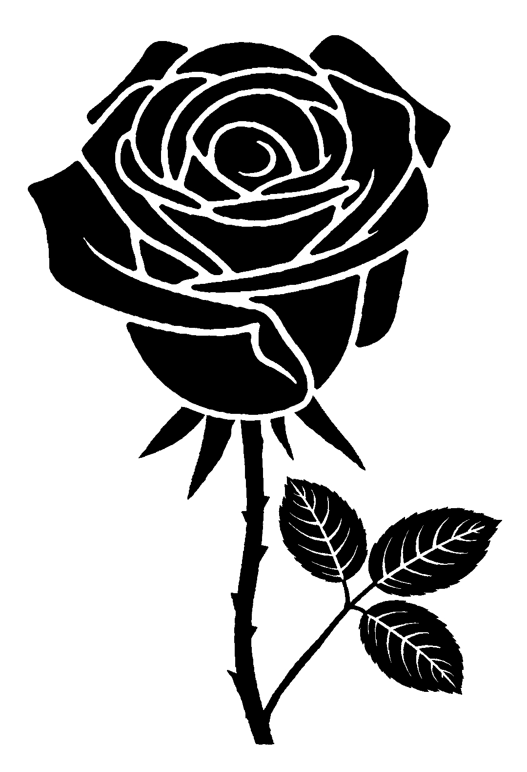 Rose black silhouette