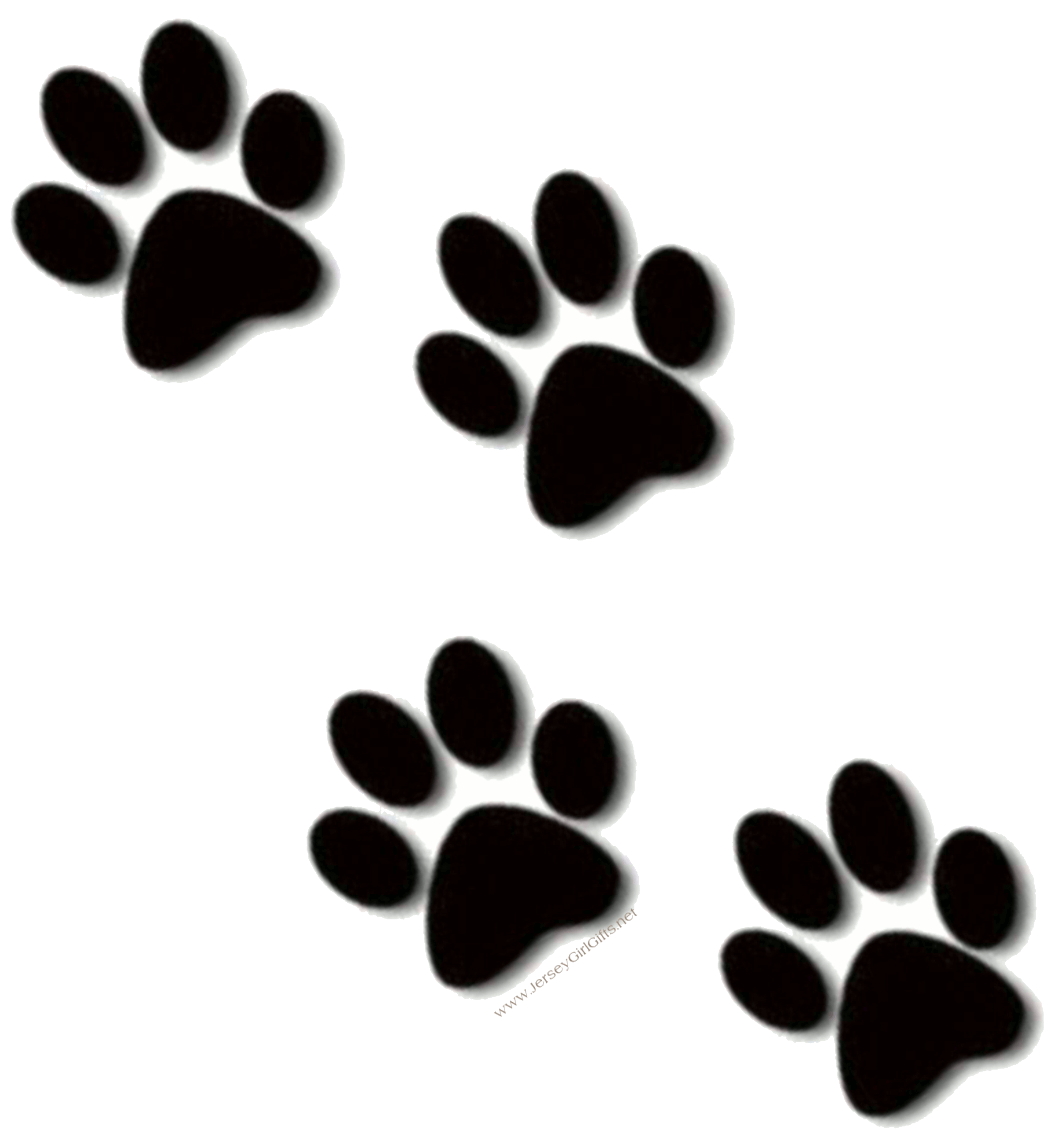 Getting Paw Print From Cat at Stephen Waller blog