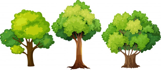 Tree Vectors, Photos and PSD files.