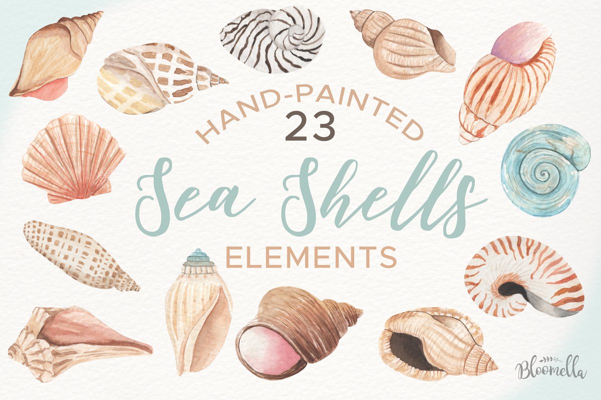 Watercolor Sea Shells Clipart Set.