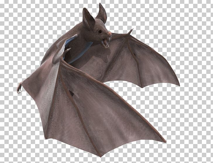 Grey Bat 3D Illustration PNG, Clipart, Animals, Bats Free.