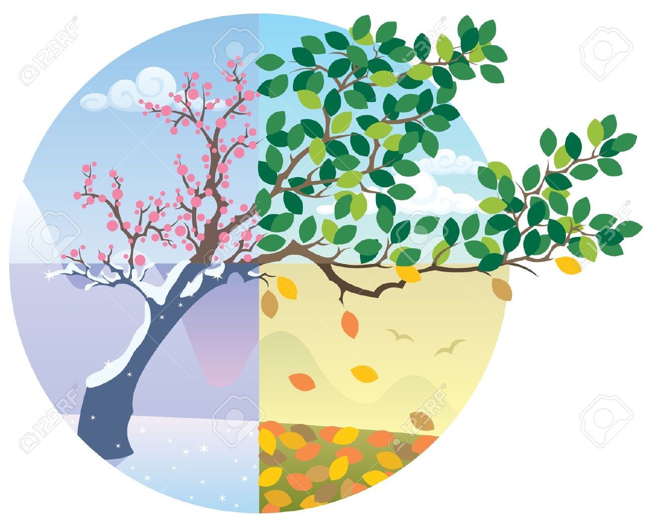 Four Seasons Clipart at GetDrawings.com.