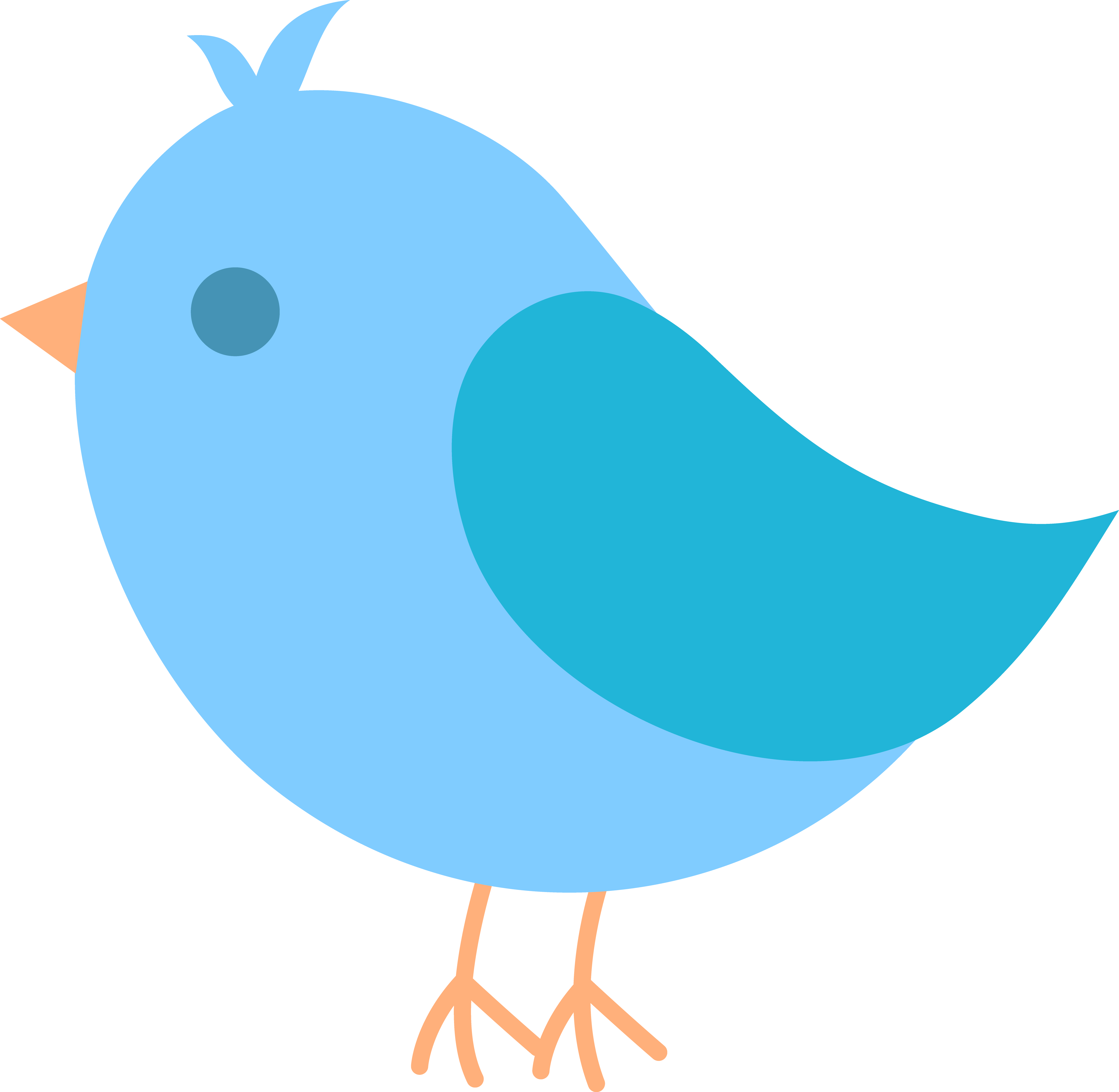 A bird clipart.