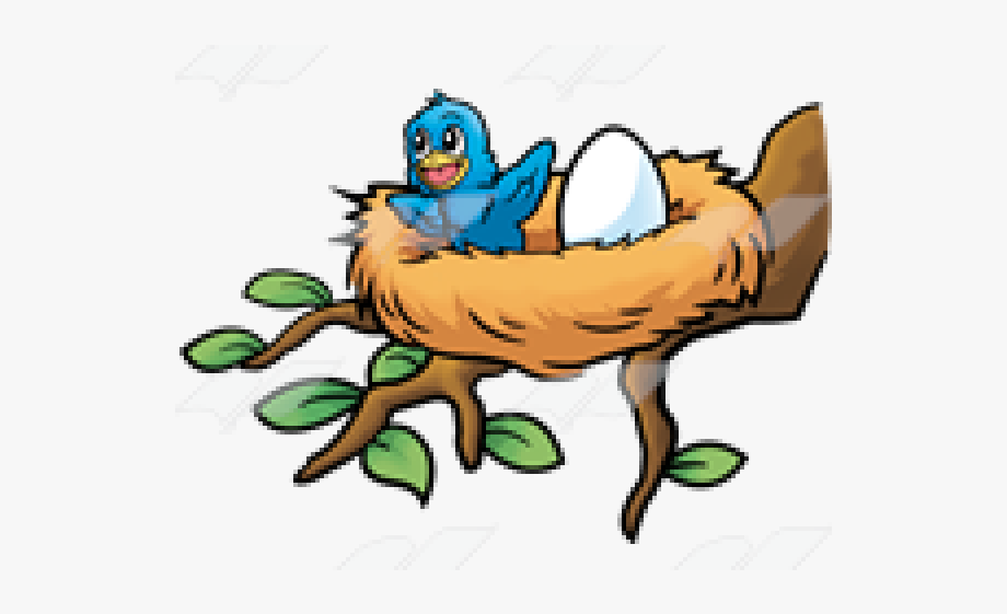 Nest Clipart Baby Bird.