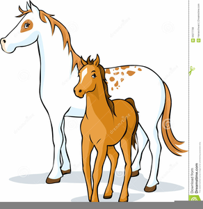 Mare And Foal Clipart.