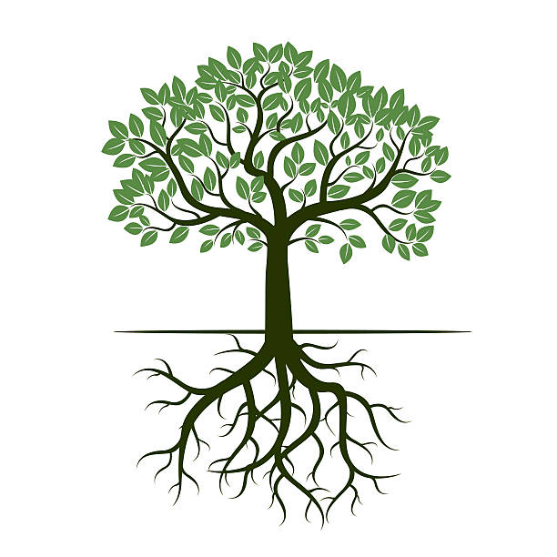 Tree Clipart With Roots.