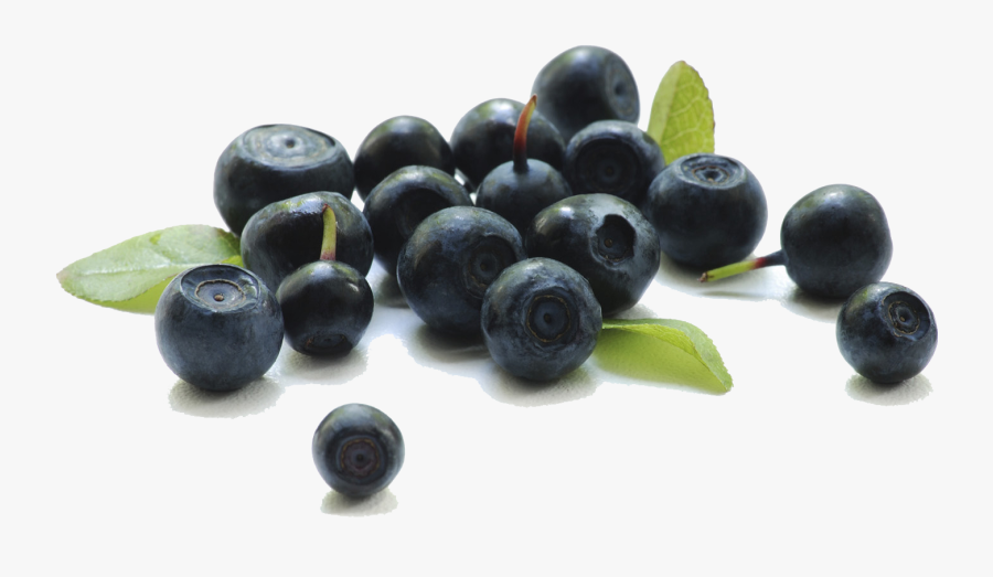 Berries Transparent Background.