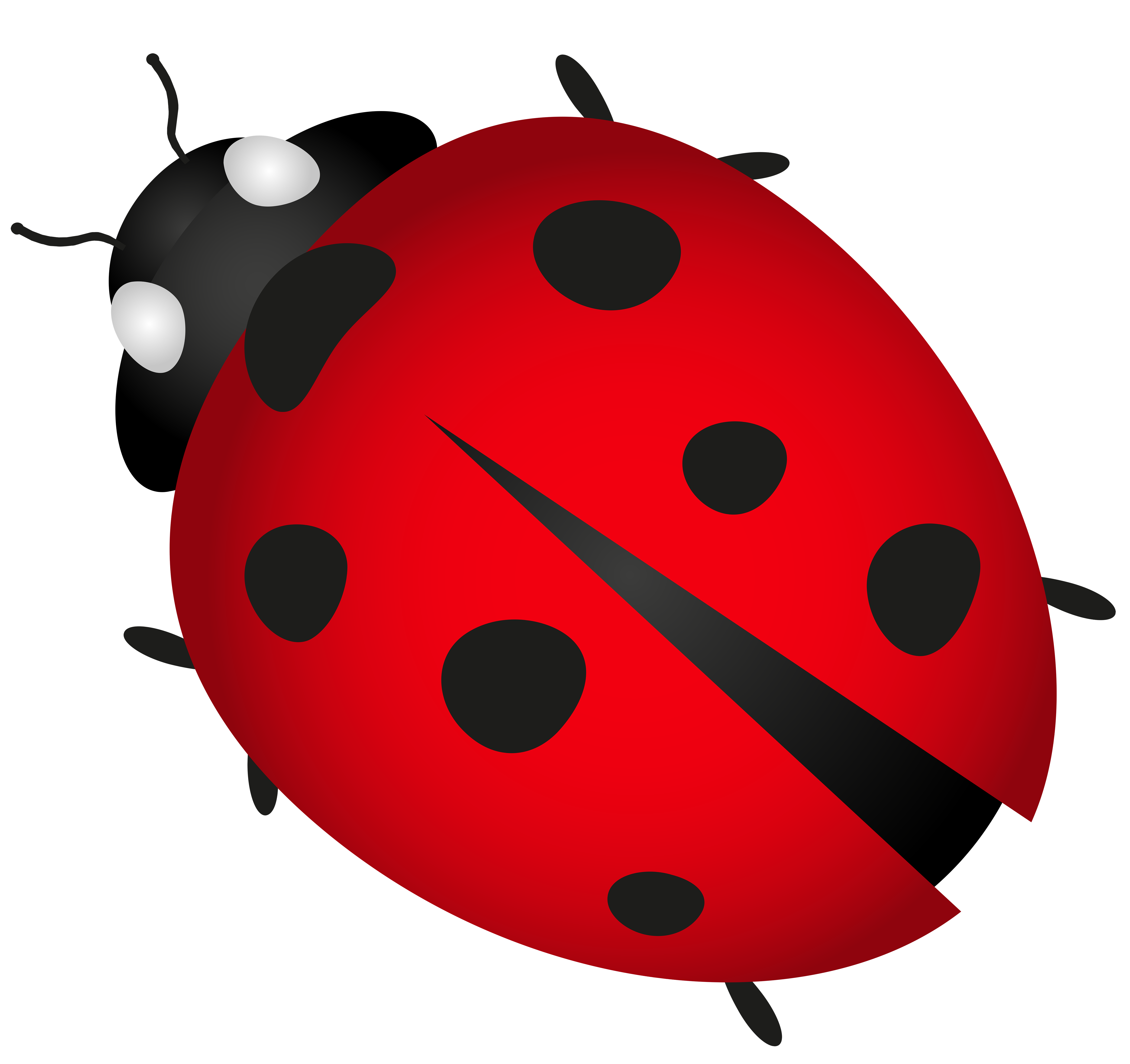 262 Lady Bug free clipart.