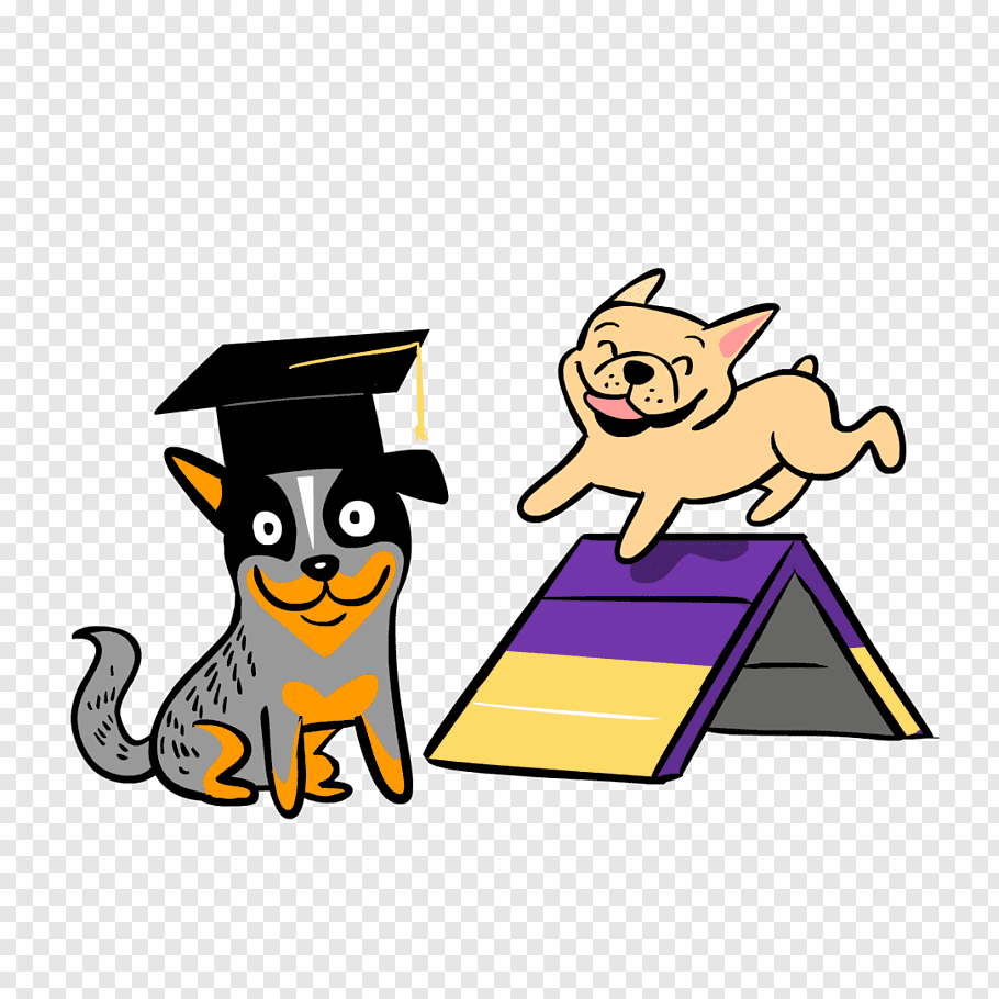 Graduation, Dog, Christian Clip Art, Dog Agility, Dog.