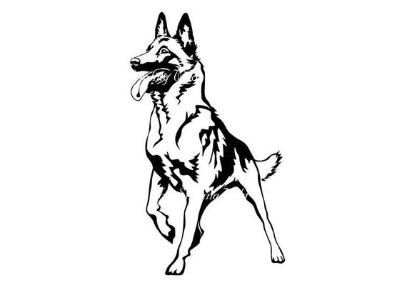 malinois art dog svg png clipart Belgian shepherd vector.