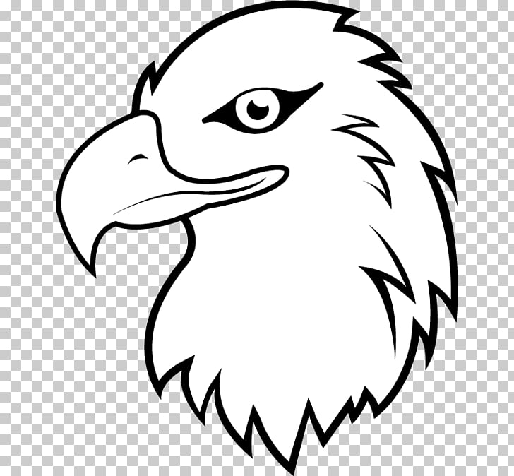 Bald Eagle White.