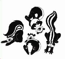 15 Best Skunks images.