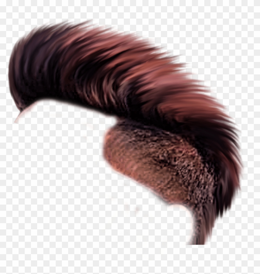 Cb Hair Png Hd Download New Hair Png Zip File Download.