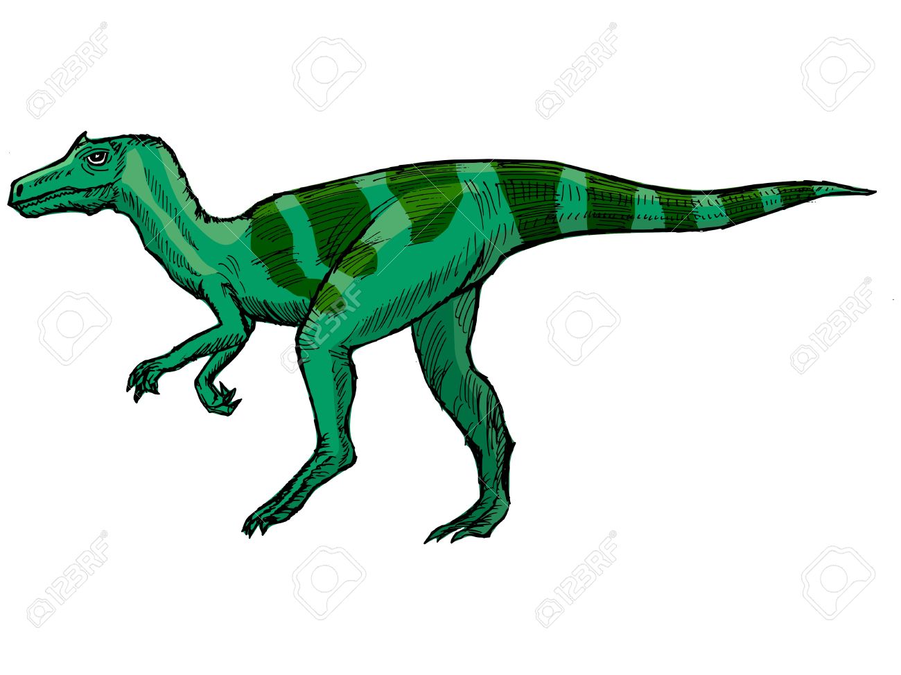 Hand Drawn, Vector, Sketch Illustration Of Allosaurus Royalty Free.