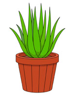 Free Plants Clipart.