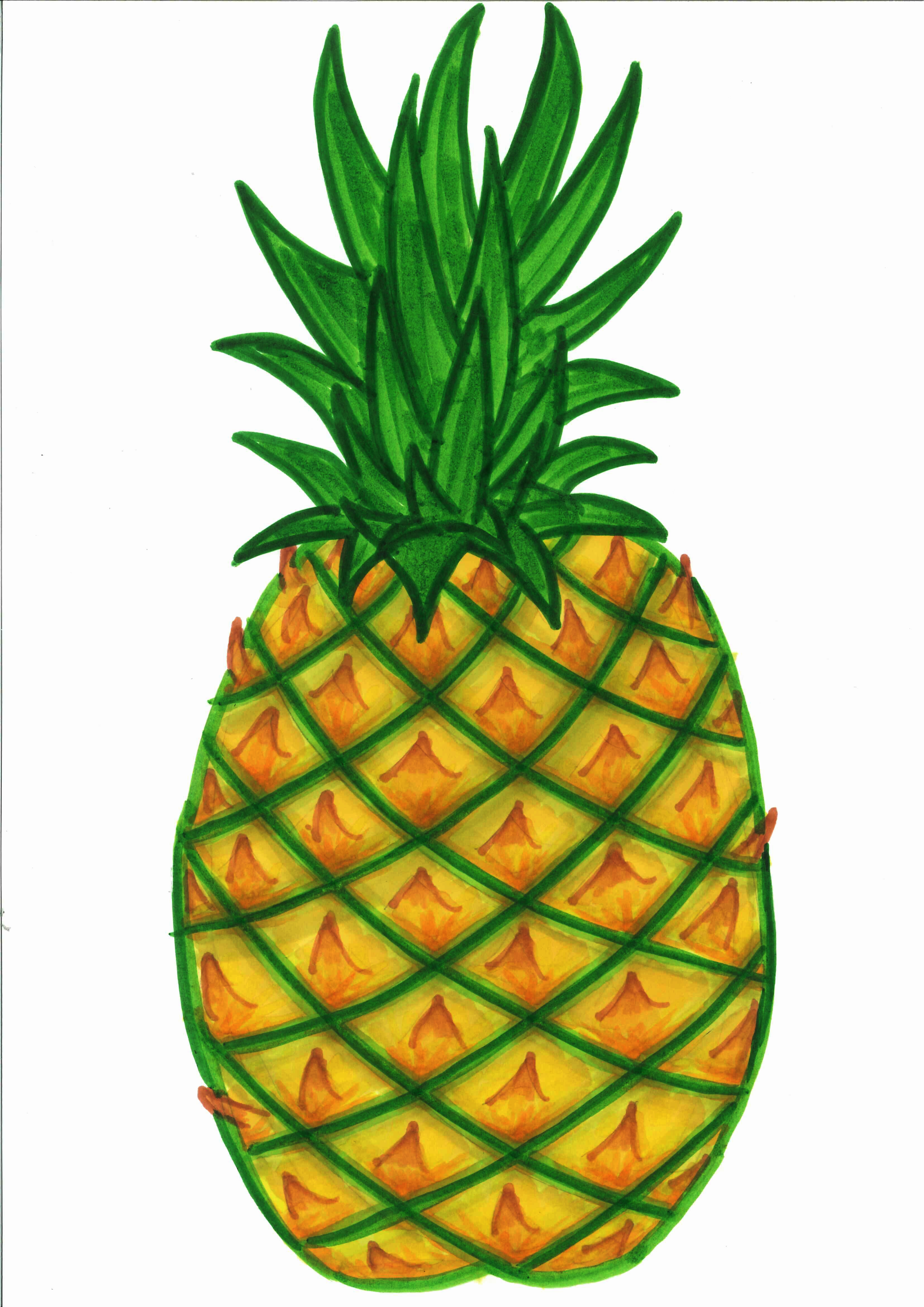 Pineapple Clipart Black And White.