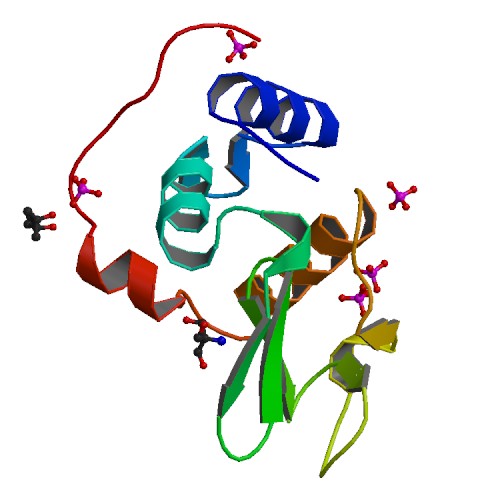 RCSB PDB.