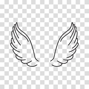 Wing PNG clipart images free download.