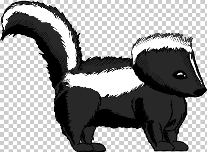 Striped skunk Whiskers Badger, skunk PNG clipart.