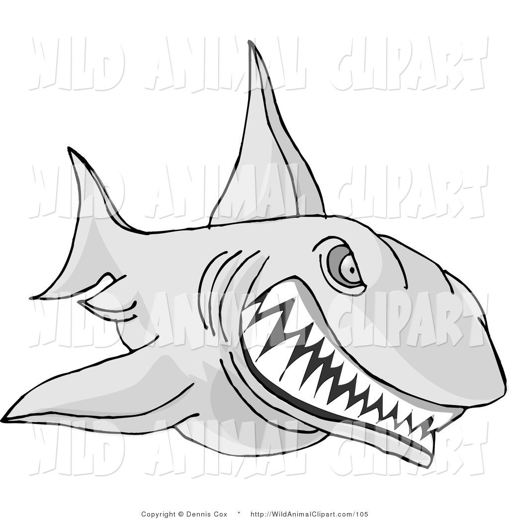 Royalty Free Animal Attack Stock Wildlife Designs.