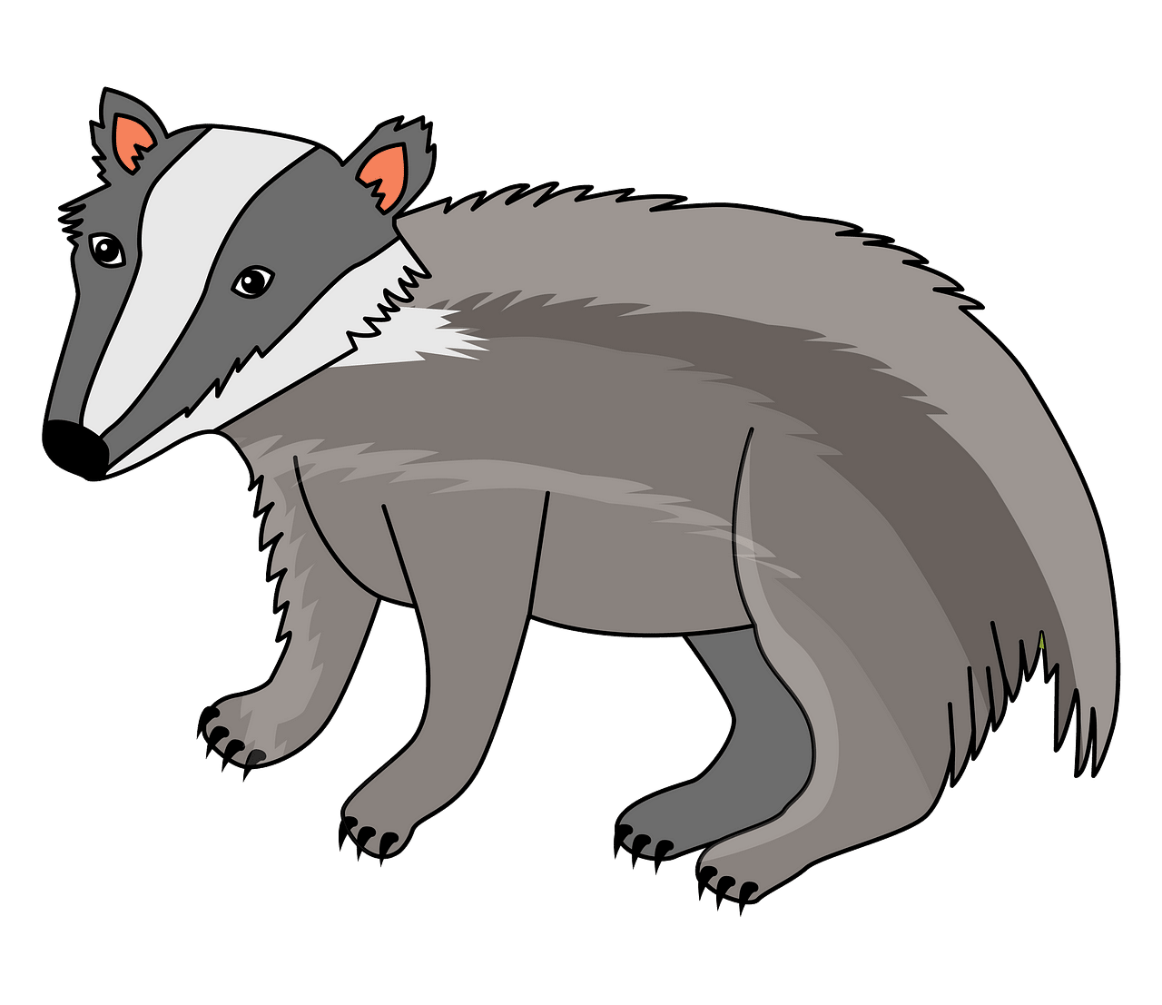 Badger clipart. Free download..