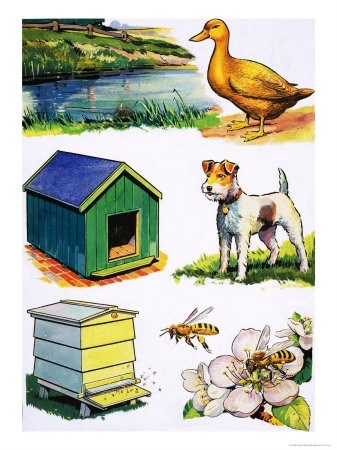 Animal homes clipart 4 » Clipart Portal.