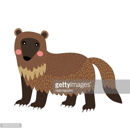 Wolverine animal cartoon character vector illustration.