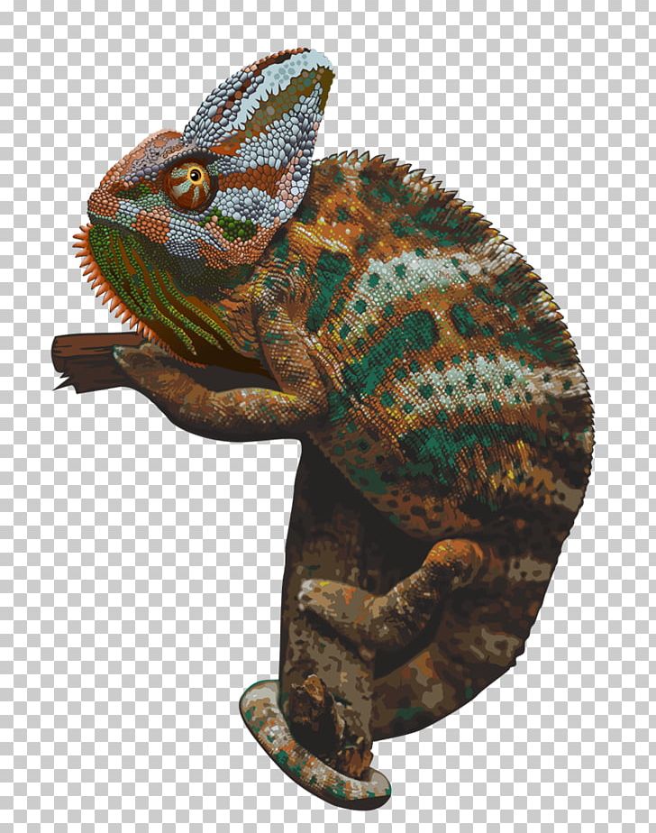 Chameleons PNG, Clipart, Animals, Chameleon, Chameleons.