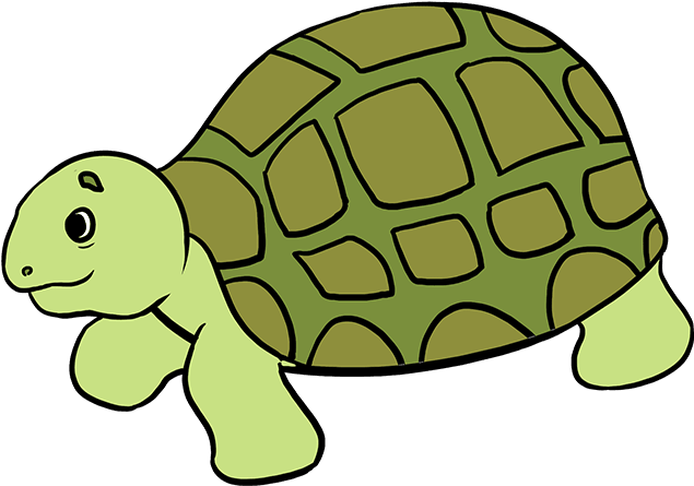 How To Draw Sea Turtle.