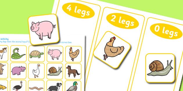 Animal Leg Sorting Activity.