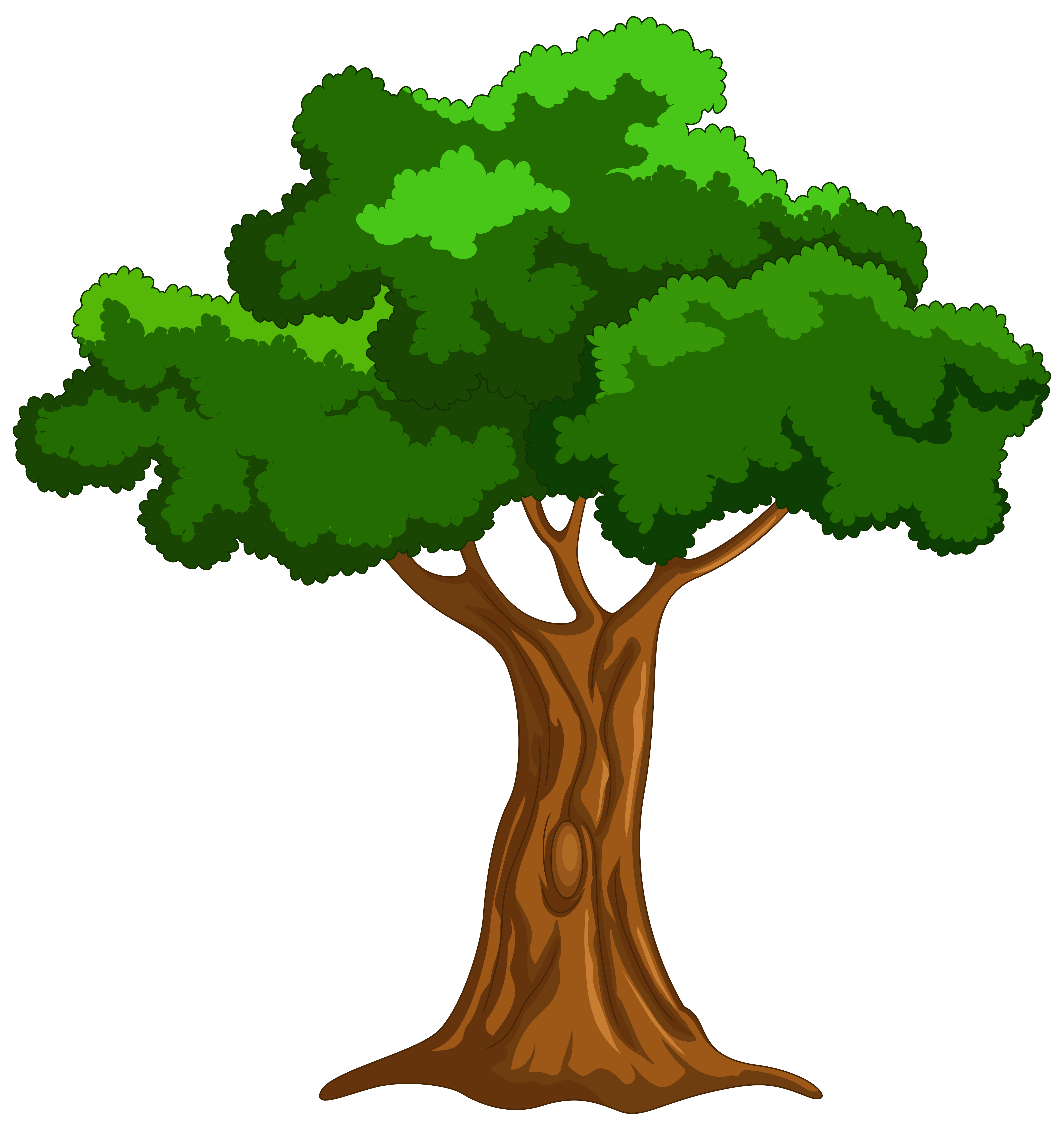 Cartoon Tree PNG Clip Art.